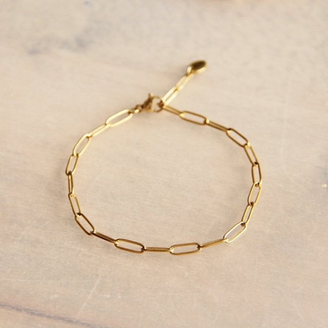 SA808 - Steel D-chain bracelet - gold - Selva & Co