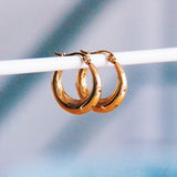 RVS-roestvrij stalen creolen 19mm breed – goud - Selva & Co