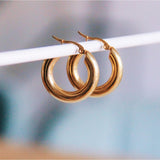 RVS creolen 'vet' 25mm - goud - Selva & Co